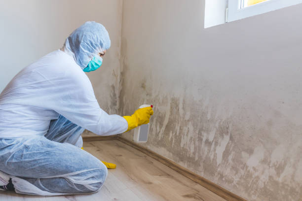 Licensed Crawl Space Mold Remediation service in Paulsboro, NJ - 24 Hour Mold Removal