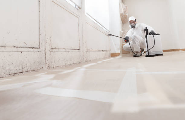 24/7 Emergency Crawl Space Mold Remediation experts in Paulsboro, NJ